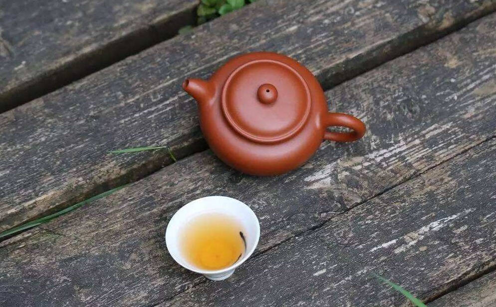都说普洱古树茶比小树茶好喝，比