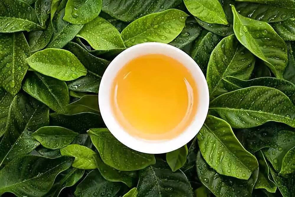 茶叶的变质现在对于大多数人来说都是一个比较头疼的事
