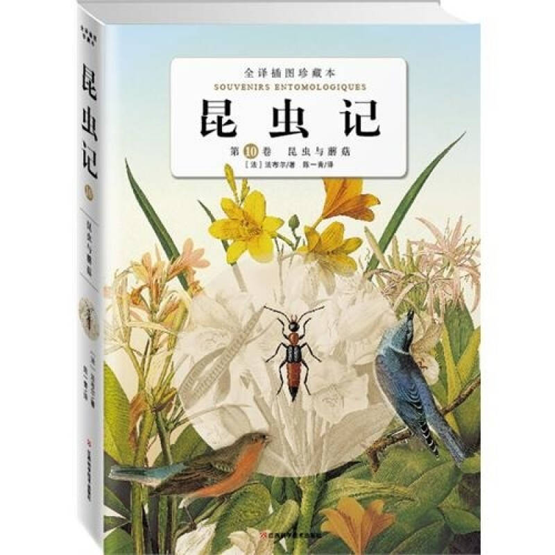 昆虫记第十卷: 昆虫与蘑菇 自营