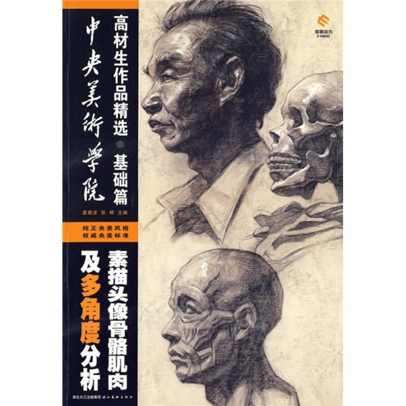 中央美术学院高材生作品精选:素描头像骨骼肌肉及多角度分析(基础篇)
