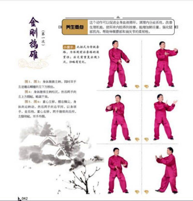 陈氏养生太极新架83式(赠光盘1张)