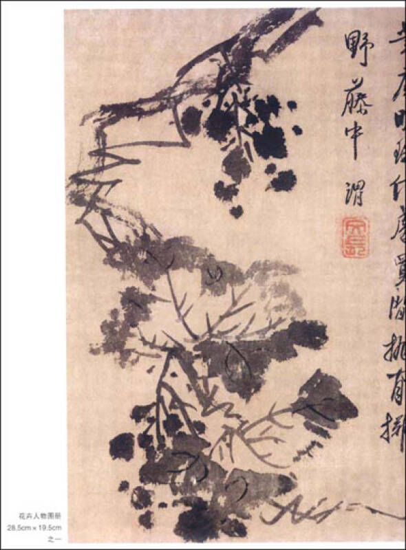 中国画大师经典系列丛书:徐渭