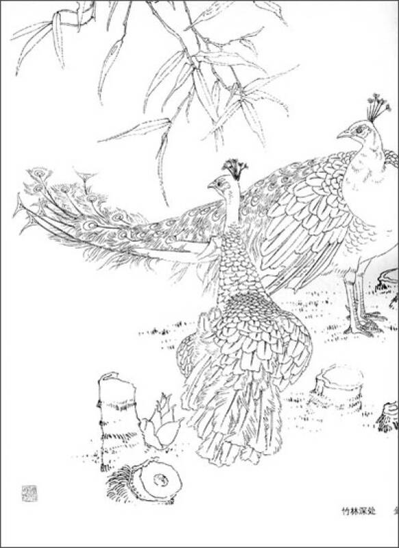 工笔画白描教学示范:孔雀画稿