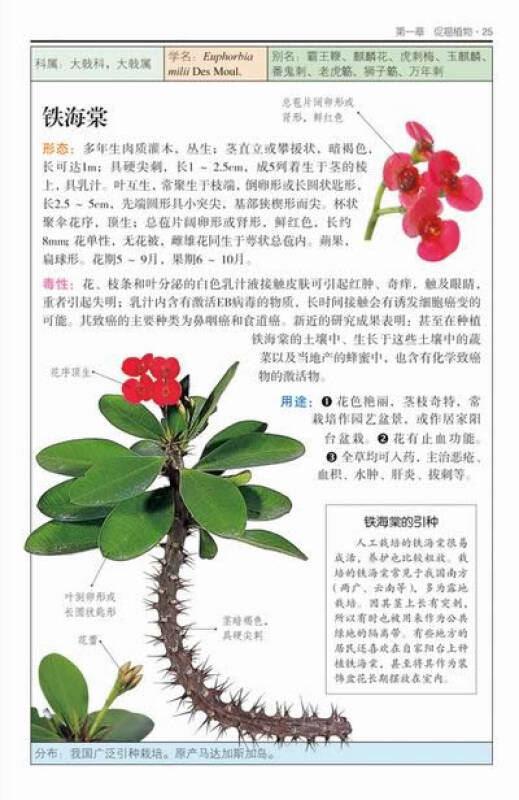 自然珍藏图鉴丛书:有害植物 自营