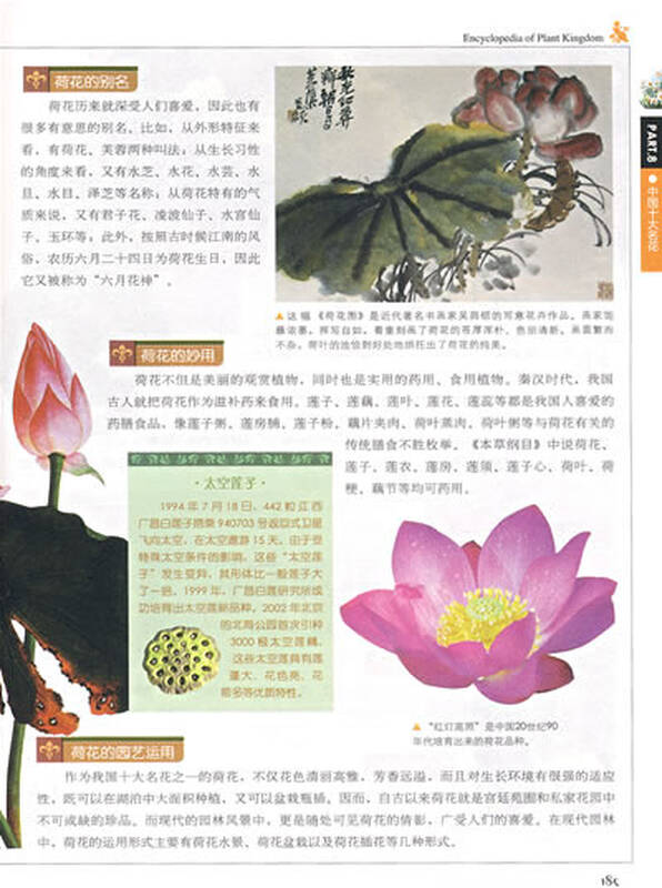 植物王国大百科图片