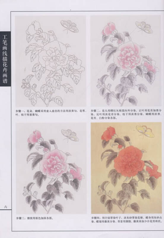 工笔画线描花卉画谱:木槿篇