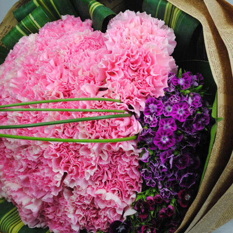 教师节礼物康乃馨花束乐舞鲜花速递 36朵粉色康乃馨花束 温馨花束