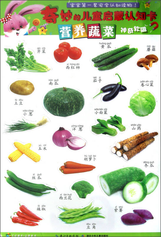 七彩童年·益智童书·奇妙的儿童启蒙认知卡:营养蔬菜