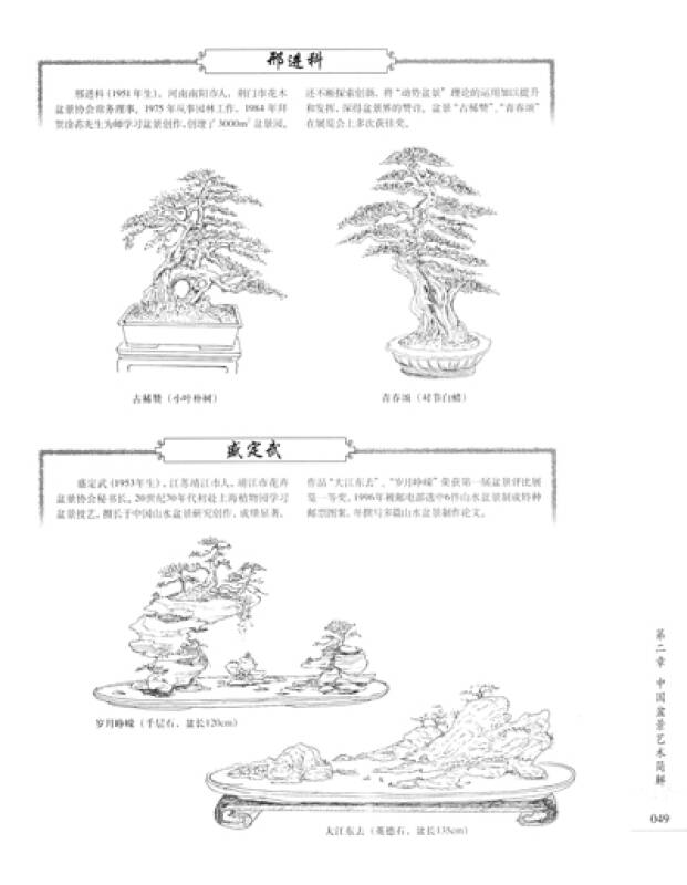 绘图盆景造型2000例