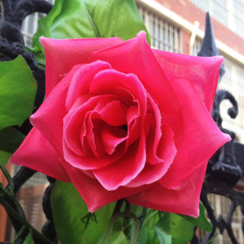 【畅宁】仿真玫瑰花头 玫瑰花朵(仅花头,无枝干和叶子)1朵 假花装饰
