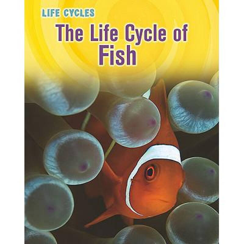 the life cycle of fish