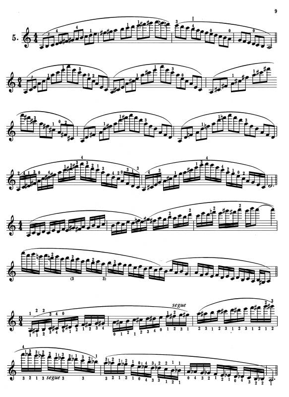 卡尔·弗莱什小提琴音阶体系(每日大小调音阶练习)