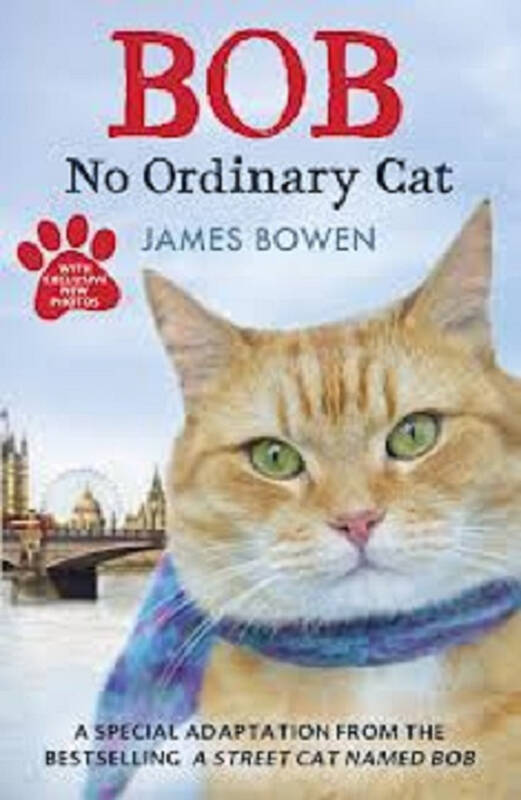 英文原版 bob: no ordinary cat 伦敦街猫记:当bob来敲门