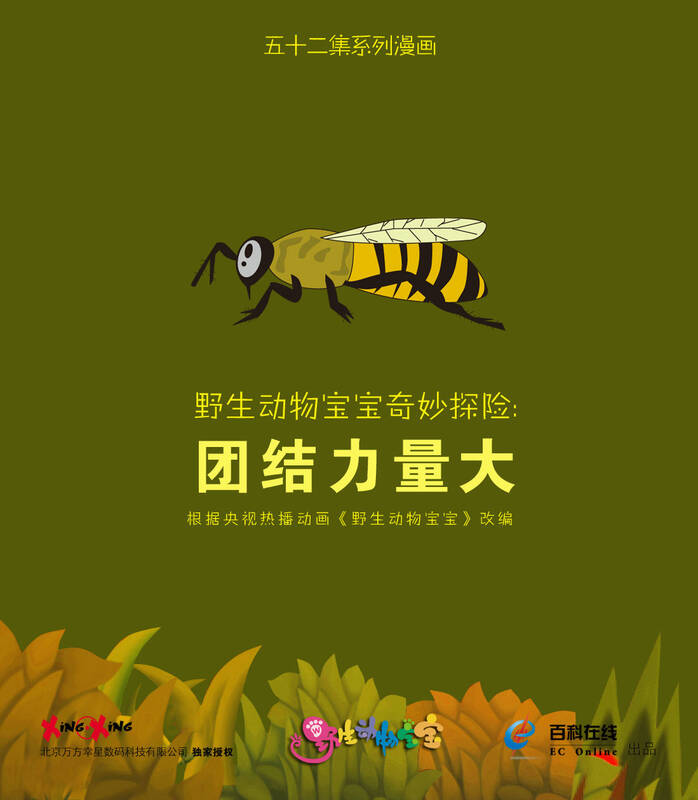 野生动物宝宝奇妙探险:团结力量大