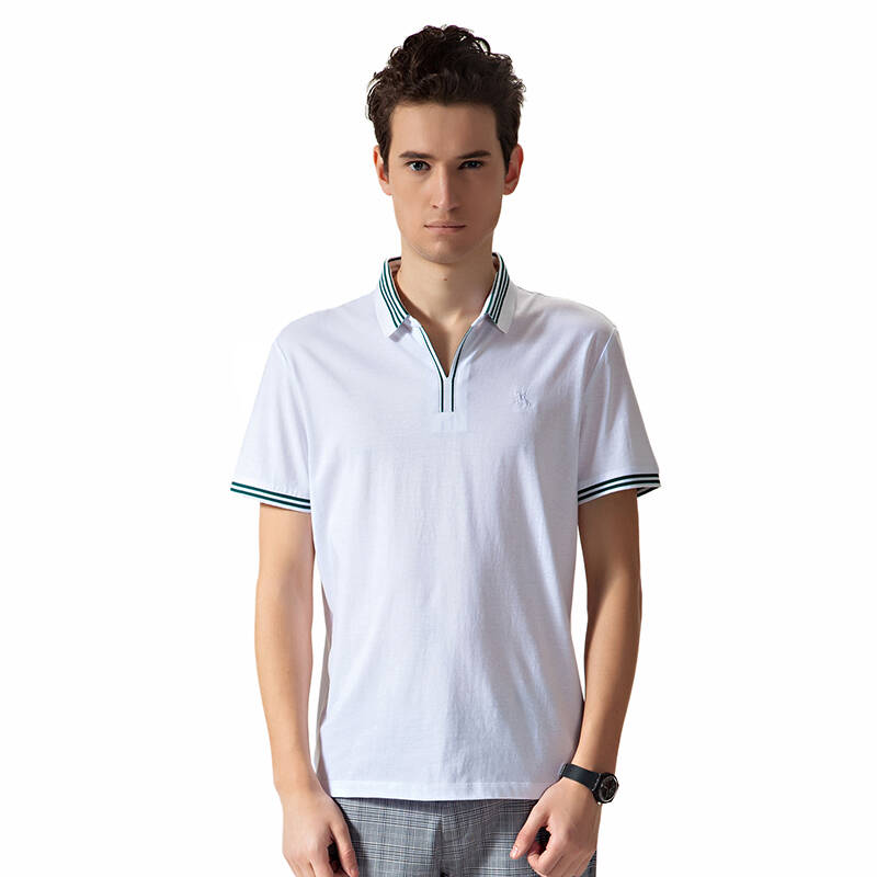 保罗威特polovillae 2013夏季新款 时尚男士商务休闲舒适透气短袖t恤