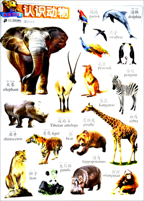 认识动物:早教启蒙双语立体挂图