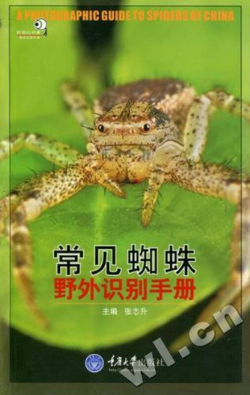 常见蜘蛛野外识别手册 科普读物 书籍