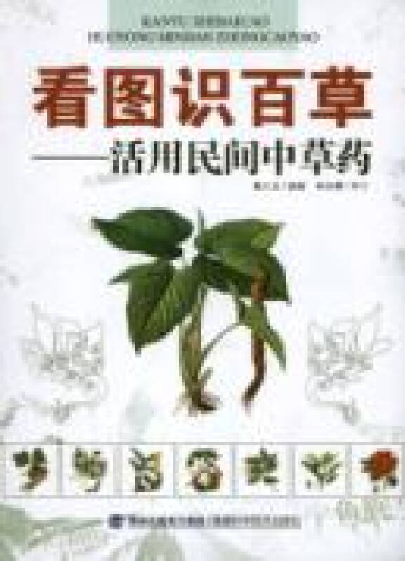 看图识百草:活用民间中草药