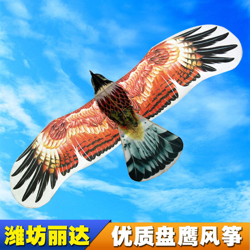 618潍坊丽达风筝 优质盘鹰风筝 杜邦纸印刷双盘单竹盘鹰 b1-朝阳