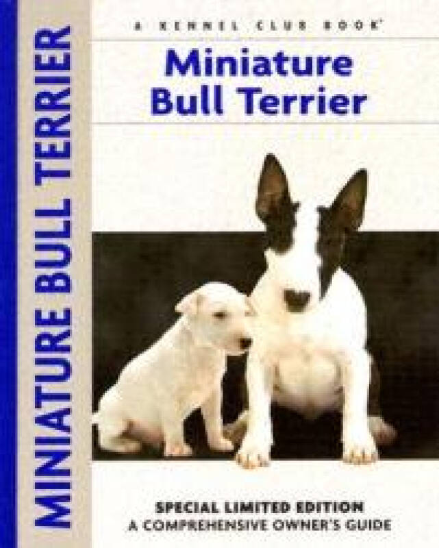 【预订】miniature bull terrier