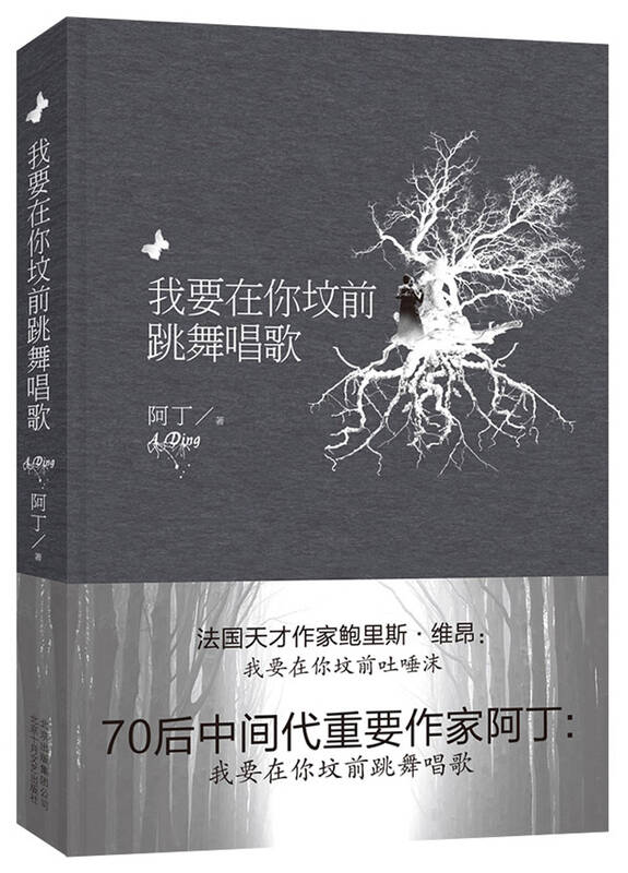 鲍里斯·维昂:《我要在你坟前吐唾沫》; 中国70后中间代重要作家阿丁