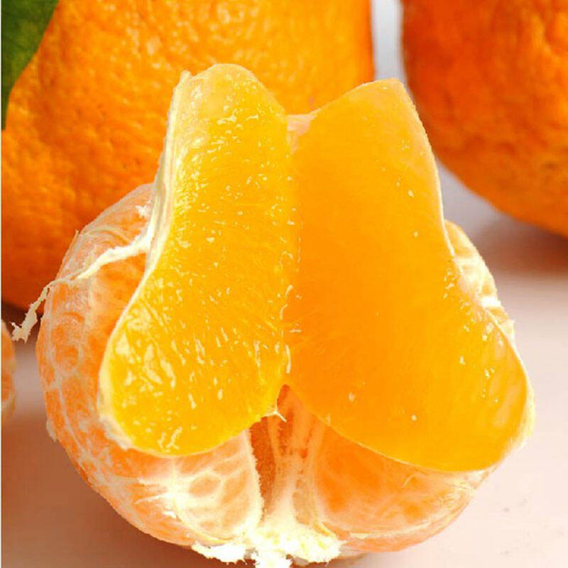 现货 新鲜水果 四川丑柑 不知火柑 柑橘 原生态