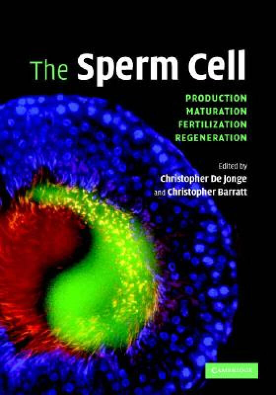 【预订】the sperm cell: production, maturation