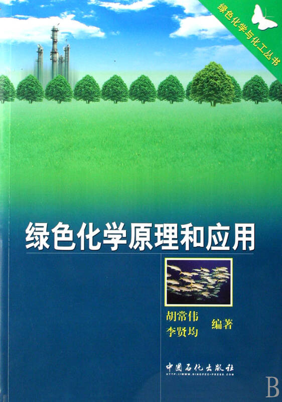 绿色化学原理和应用/绿色化学与化工丛书