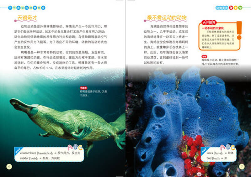 英国经典少儿百科知识全书:动物喜欢