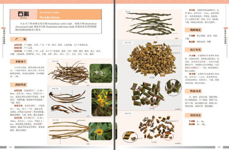 中药饮片标准图鉴