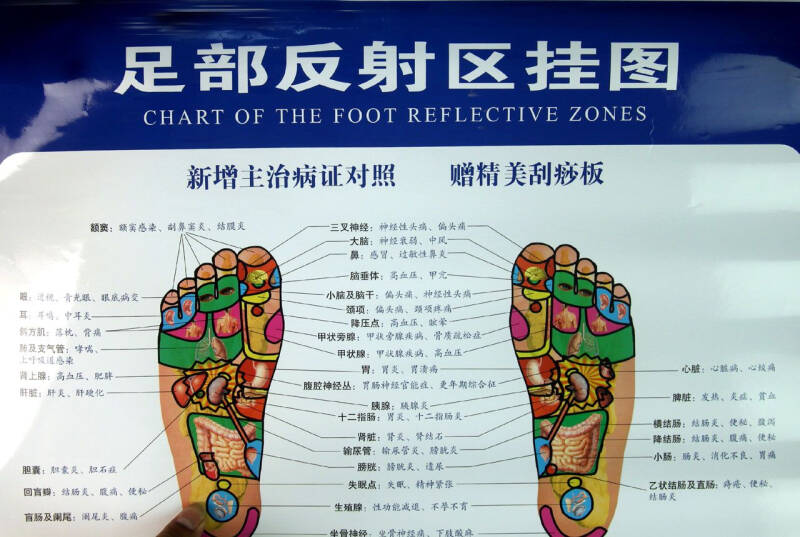 足部反射区挂图