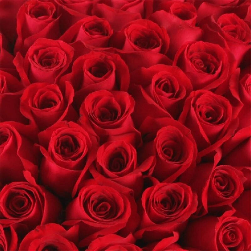 鲜花速递武汉北京上海深圳成都 99朵红玫瑰花束玫瑰花