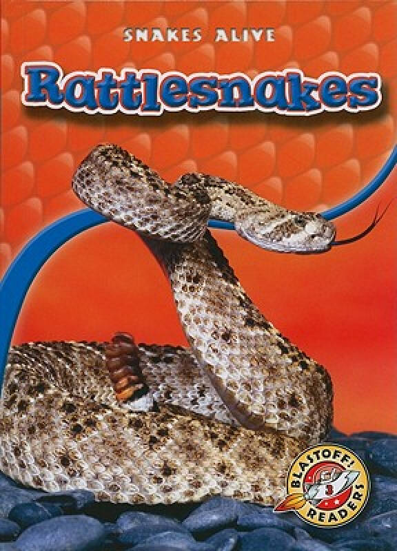 【预订】rattlesnakes