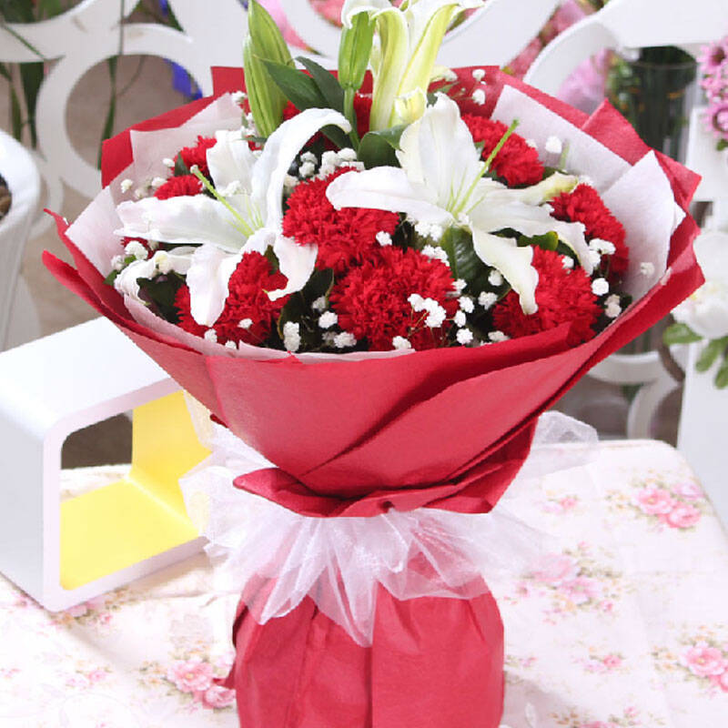 鲜花速递19朵康乃馨花束送妈妈长辈同事生日礼品纪念礼物北京上海全国