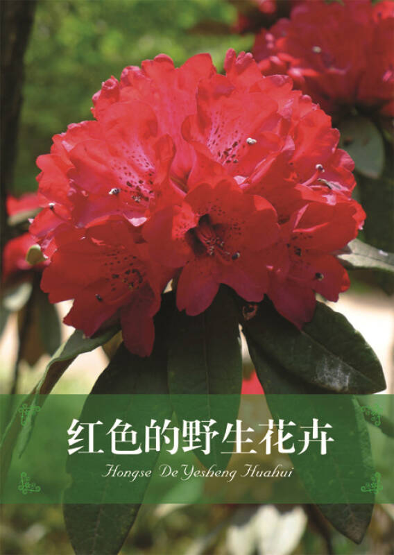 野生花卉经典图鉴