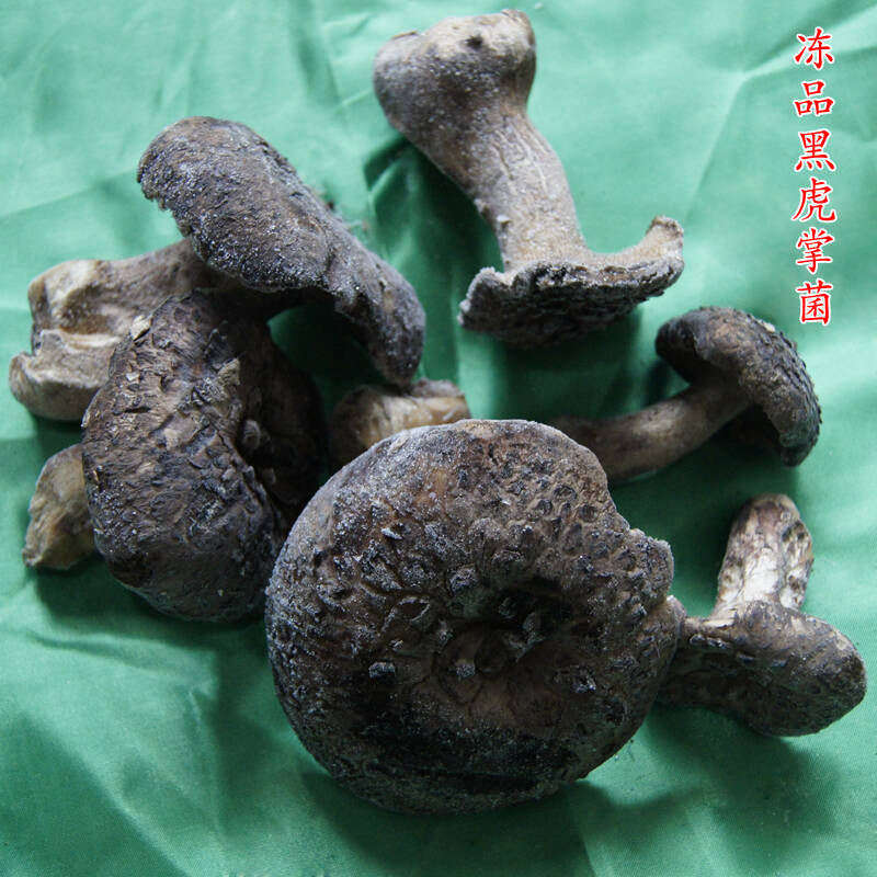 萌兴 云南特产野生菌 散装 速冻冰鲜黑虎掌菌 美味营养 冻品黑虎掌菌