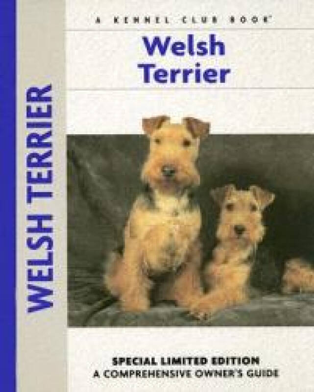 【预订】welsh terrier