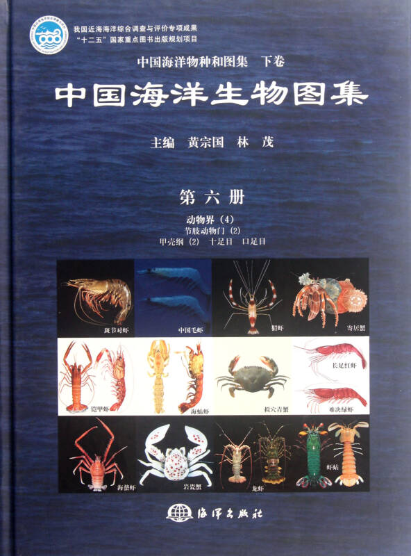 中国海洋生物图集(6)(精)