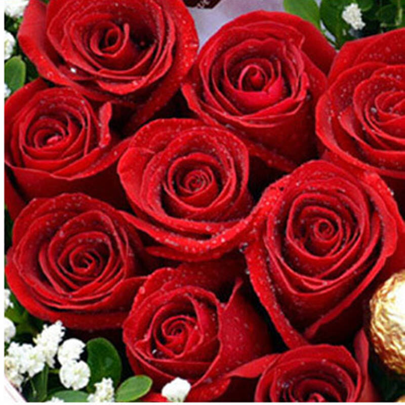 哲尼柯鲜花预定全国速递 生日鲜花礼物,玫瑰,百合鲜花