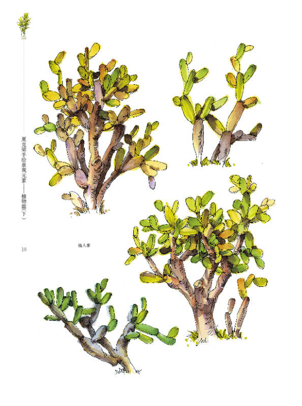 夏克梁手绘景观元素:植物篇(下 京东自营