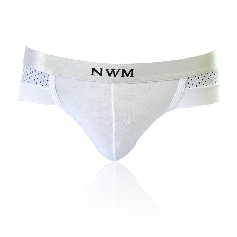 nwm 男士内裤男夏季莫代尔 透气网孔三角低腰内裤 夏季 2条装 黑色
