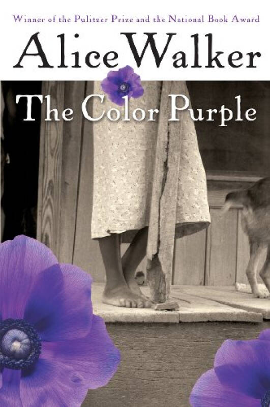 the color purple alice walker