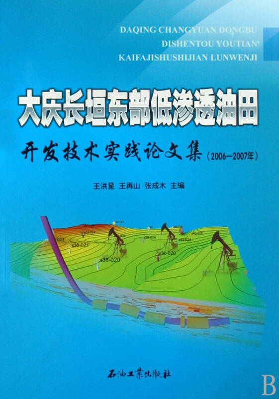 大庆长垣东部低渗透油田开发技术实践论文集(2006-2007年)