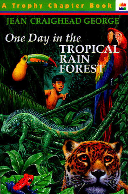 【预订】one day in the tropical rain
