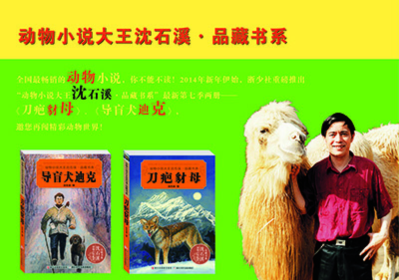 动物小说大王沈石溪·品藏书系:导盲犬迪克