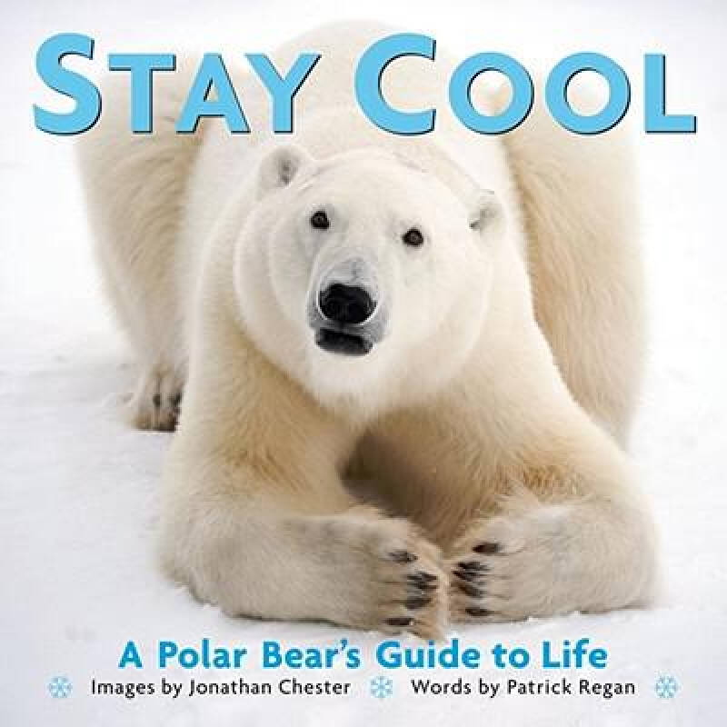 stay cool: a polar bear"s guide to life