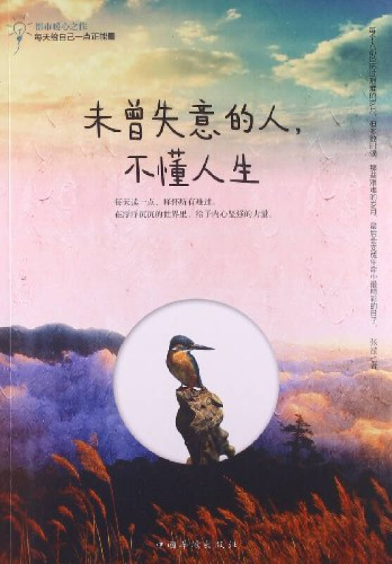 (正版)未曾失意的人,不懂人生(z001)