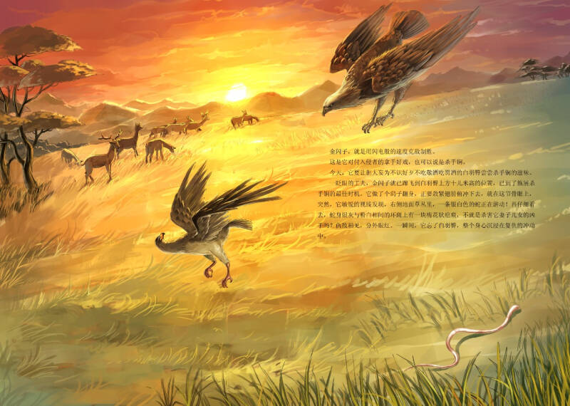 沈石溪动物小说鉴赏:鹰王