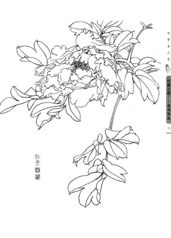 初学者之友·白描百图:花鸟鱼虫【图片 价格 品牌 】