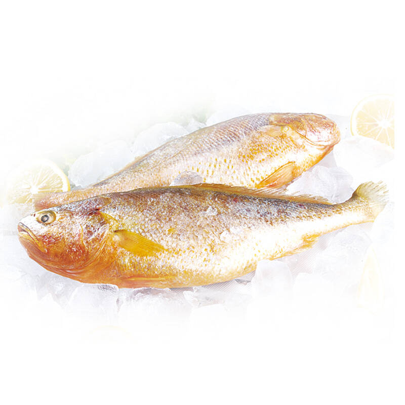 悦海上品冰冻海鲜家庭实惠装b款 舟山黄花鱼 金鲳鱼(银雪鲳鱼) 半壳夏